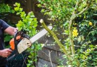 Tree Services Mornington Peninsula image 4